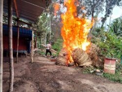 Polres Malang Bongkar Arena Perjudian 303 jenis Sabung Ayam