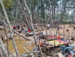 Sat Polairud Bangka Barat Lakukan Penertiban Aktivitas Penambangan Tanpa Izin Di Kawasan Hutan Bakau Desa Belo