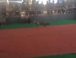Maraknya 303 Perjudian di Wilayah Hukum Polres Tulungagung – Polda Jatim belum tersentuh APH.