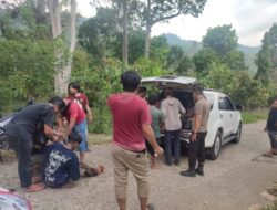 Polres Polman Grebek Kalangan Perjudian Sabung Ayam.