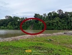 Limbah Cair di Muara sungai sambat Kabupaten Kaur, Diduga Milik Perusahaan ilegal