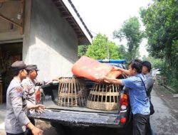 Kalangan Perjudian 303 Sabung Ayam di Bongkar “Polres Blitar Kota”.