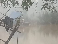 Tambang Ti di Kolong Koboy tidak Tersentuh Polres Pangkalpinang – Polda Bangka Belitung.