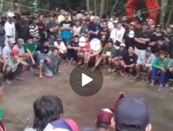 Kapolsek Plosoklaten : 303 Sabung Ayam dan Dadu di Plosorejo Desa Sumberagung Tks infonya, Kanit Reskrim Langsung saya perintah untuk di tutup