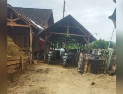 Pengelolaan BBM Minyak Mentah Jenis Solar Dugaan ilegal di Desa Bleboh, Kecamatan Jiken, Kabupaten Blora