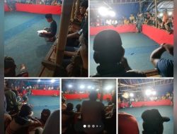 Perjudian 303 Sabung Ayam di Tanjungsari Kecamatan Wuluhan Belum tersentuh Polres Jember, Polda Jatim, Mabes Polri