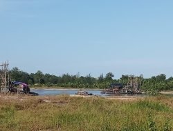 Aliran Sungai Hutan Bakau Rusunawa Kota Pangkalpinang di jarah TI Rajuk Tower dugaan Ilegal
