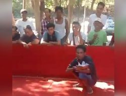 Perjudian 303 Sambung Ayam di Jogjati, Kecamatan Lekok, Pasuruan Belum tersentuh Hukum