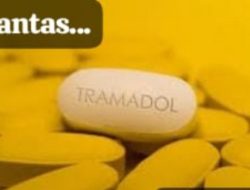 Kapolres Cirebon Kota Tangkap Digarap Berantas Para Pengedar Obat Diwilayah Hukumnya”.