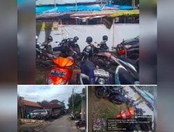 303 Sabung Ayam di Jalan Pulau Singkep, Desa Pedungan, Kecamatan Denpasar Selatan, Kota Denpasar Tak Tersentuh Hukum