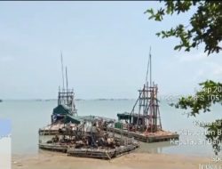 Ratusan Tambang Ponton Isap Produksi (PIP) Bebas Beraktifitas di Perairan Bangka Barat tak tersentuh Hukum