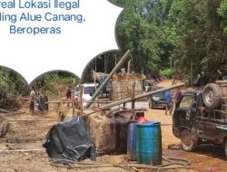Sumur BBM Minyak Mentah Ilegal, Desa Gampong Alue Canang, Kecamatan Birem Bayeun, Kabupaten Langsa Kebal Hukum