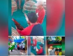 Aktifitas Perjudian 303 Sabung Ayam di Desa Karangrejo Kecamatan Gempol Kabupaten Pasuruan Tak Tersentuh Hukum