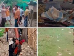 Aksi Kejar Kejaran, Arena Perjudian 303 Sabung Ayam di Grebek Polisi