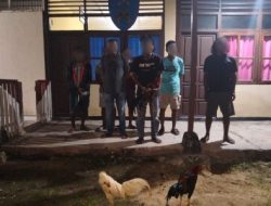Kasus Judi 303 Sabung Ayam, 6 orang ditetapkan sebagai tersangka, 3 orang lainnya sebagai saksi
