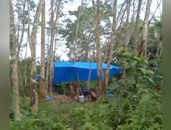 Pengeboran Sumur Ilegal Drilling, Di Kebun Rambong Dan Paya Laot, Kecamatan Birem Bayeun, Aceh Timur Belum Tersentuh Hukum