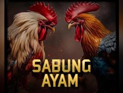 Desember 2024 Polisi Panin Pelaku Judi Sabung Ayam, Cap Jiky, Tembak Ikan, Slot dan Korupsi
