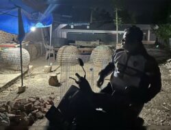 Pertengahan Januari 2025 Polisi Gagal Gerebek Judi Sabung Ayam Terbesar di Wajo, ada apa?