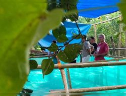 Arena Judi Sabung ayam di Kampung Panruru, Desa Punranga, Kecamatan Ma’rang, Pangkep akhirnya di Gerebek Polisi