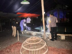 Markas Perjudian 303 Sabung ayam di Dusun Kalen, Desa Jatikalen, Kecamatan Jatikalen, Kabupaten Nganjuk di Gerebek Polisi