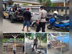 Markas Judi Sabung ayam di Gerebek Polsek Blanakan, Polres Subang” Pelaku Kocar-kacir