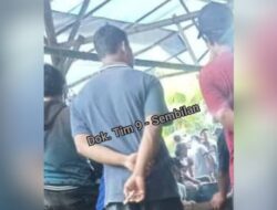 Sabung ayam di Lowoksoroh, Desa Mangliawan, Kec Pakis, Malang Belum tersentuh Hukum