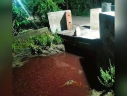 Limbah Pencemaran lingkungan pemotongan sapi di Krian Sidoarjo meresahkan masyarakat