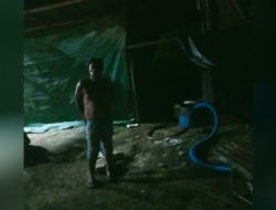 Gudang Cangkang Inti Sawit dan Pengelolaan Minyak Miko di Kejuruan Muda, Aceh Tamiang daur ulang beroperasi