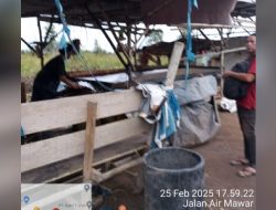 Lobi Timah gunakan mesin Meja Goyang Diduga Tak Berizin Bebas Beroperasi Jln air Mawar Kota Pangkalpinang.