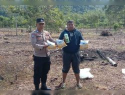 Polsek Jaya Salurkan Bantuan Benih Jagung dan Pupuk Organik Cair dalam Program Ketahanan Pangan/P2L di Desa Pante Cermin