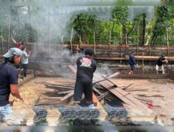 Polres Kapuas Hulu Bongkar Markas Judi Sabung ayam