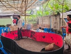 Arena sabung ayam di Desa Jepara Wetan, Kecamatan Binangun, Cilacap dibubarkan