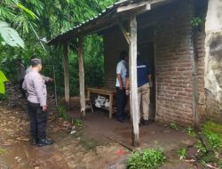 Aktivitas Sabung ayam di Desa Ngesong, Kecamatan Banyakan, Kediri, Akhirnya di Bubarkan