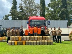 Pelaku dan Transportir PT. Tiga Putra Bersatu diamankan Polda Papua