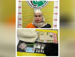 Herlina Wati Harahap Warga Lingkungan II Pasar Gunung Tua, Kelurahan Pasar Gunung Tua, Kec. Padang Bolak Jadi Bandar Narkoba