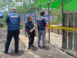 Polisi Gerebek Sabung Ayam di Sintang – Kalbar