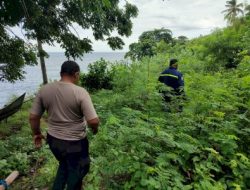 Polisi Datangi Atena Perjudian Sabung Ayam di Mapitara