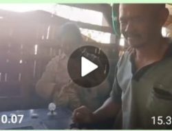 Perjudian Tembak Ikan di Wilayah Hukum Polres Tulungagung, Pelajar SD Terlibat