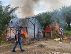Kasat Narkoba Polres Langkat AKP Ismail Pane, Grebek Sarang Narkoba (GSN) Markas diobrak Abrik