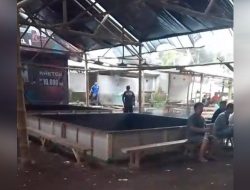 Polres Blitar Bubarkan Arena Judi Sabung Ayam di Talun ” masyarakat Kecewa Markas Tidak di Bakar