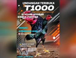 Perjudian Sabung Ayam di Desa Ngoran, Kabupaten Blitar tak tersentuh Hukum