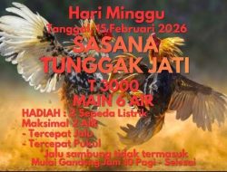 Puluhan Tempat Judi Sabung Ayam dan Dadu di Tulungagung Kebal Hukum, Aparat Penegak Hukum (APH) Kemana?