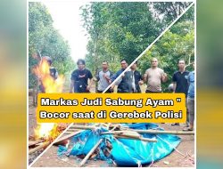Lokasi Sabung Ayam di Eremerasa, Kabupaten Bantaeng di Gerebek