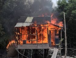 Pomal Bongkar Gubuk Narkoba di Belawan, Aksi Demi Masa Depan Anak Bangsa ‎