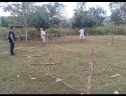 Polres Belu, NTT Berantas Markas Perjudian Sabung Ayam, Dua Arena di Atambua Dibongkar