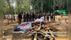Polsek Sintang Kota Bongkar Arena Perjudian Sabung Ayam di Desa Anggah Jaya