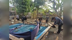 Warga Minta Polres Nganjuk Tutup Permanen Dua Lokasi Sabung Ayam Di Sukomoro dan Loceret