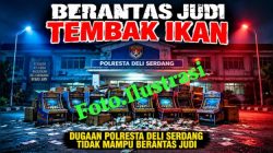 Judi Tembak Ikan Merajalela di Deli Serdang : Beroperasi 24 Jam, Dekat Sekolah, Diduga Dapat Perlindungan APH