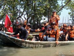Bukan Sekadar Slogan, Pemuda Pancasila Kota Semarang Turun Langsung Tanam Mangrove di Pulau Tirang”